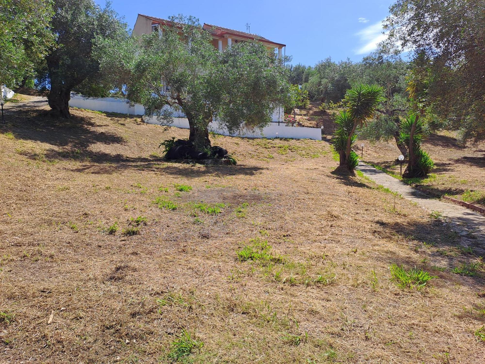 Evridiki Apartments Meszongí Kültér fotó